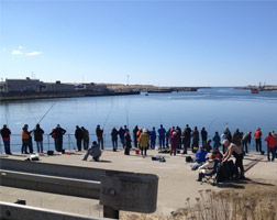 Nyd atmosfæren på fiskerihavnen i Hvide Sande og tag frisk fisk med hjem