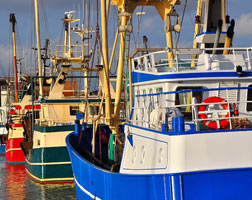 Fiskeriet i Hvide Sande har altid fascineret Esmarchs feriegæster