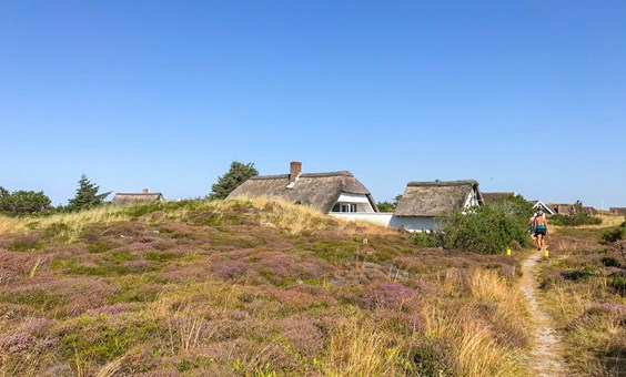 Klik her og se sommerhuset B2028 på Storebjerg 7, Bjerregård