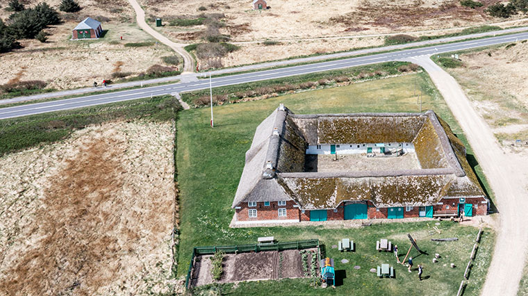 Ferienhäuser Auf Holmsland Klit - Urlaub Zwischen Nordsee Und Fjord