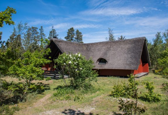 Idyllisches Reetdachhaus mit Sauna auf herrlichem Naturgrundstück