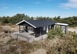 Ferienhaus In Danemark Mit Hund Urlaub An Der Nordsee Buchen