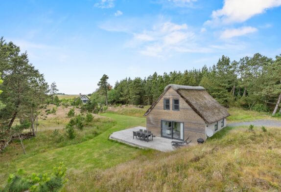 Kleines, feines Ferienhaus auf Römö mit Badetonne