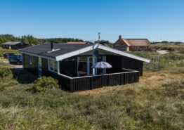 Naturskønt feriehus med sauna på Holmsland Klit. Kat. nr.:  E4106, Tingodden 23;