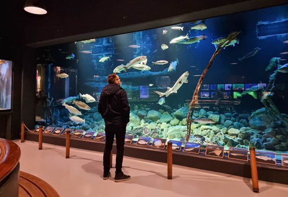 Fischerei- und Seefahrtsmuseum in Esbjerg