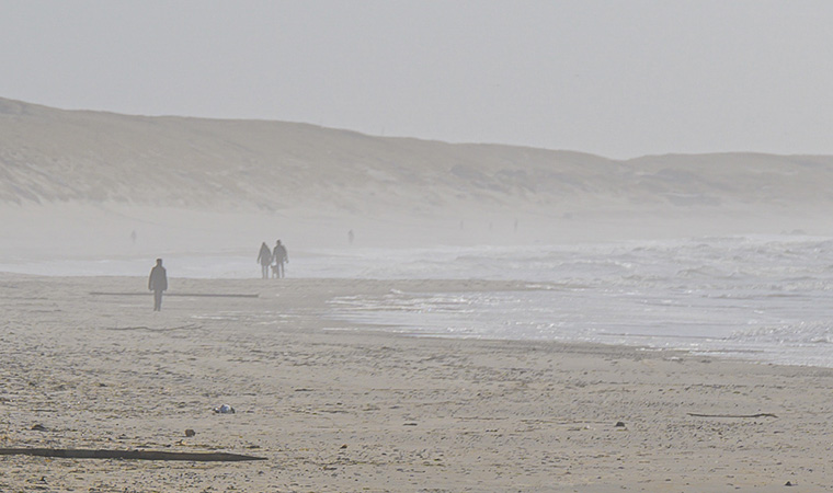 Havgus på stranden i Hvide Sande