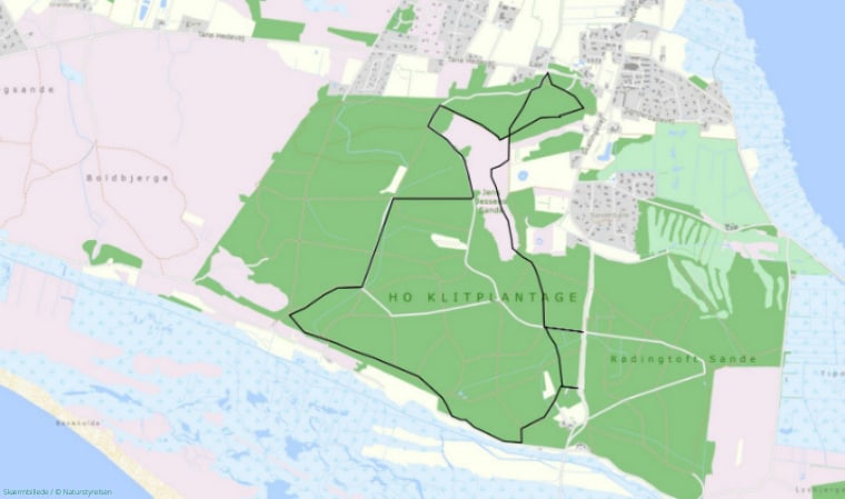 Kort over den gule rute i Ho Klitplantage