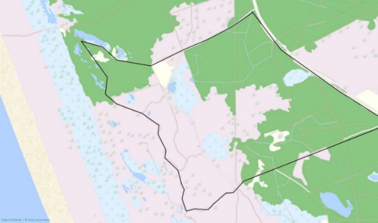 Kort over rød rute i Fanø Plantage