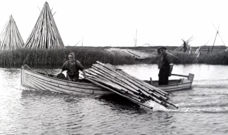 2 Brüder an einem Sommertag im Jahr 1964 am Ringkøbing Fjord