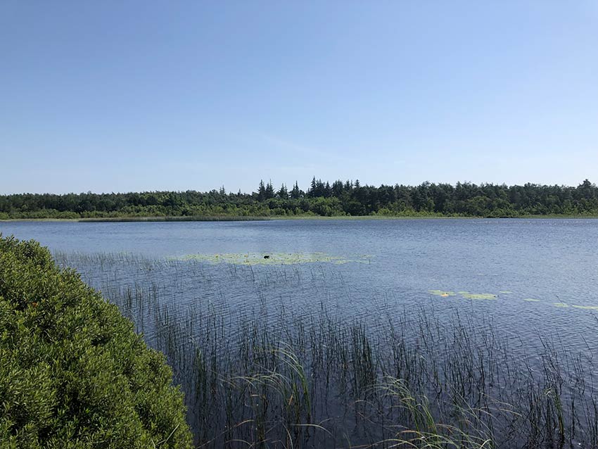 Præstesø nær Oksbøl