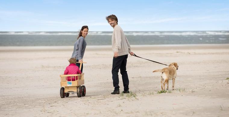 Ferienhaus in Dänemark mit Hund Urlaub an der Nordsee buchen