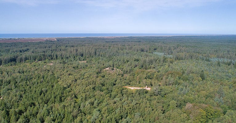 Blåbjerg Klitplantage mellem Houstrup og Henne - Luftfoto