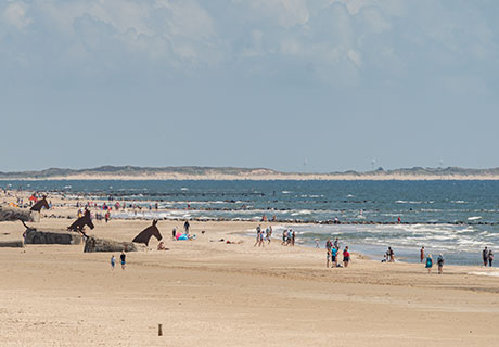 blåvand-strand-vandrerute