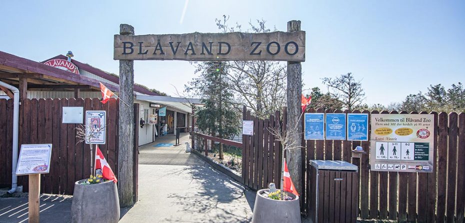 Jep lure beslag Ein Besuch im Blåvand Zoo - Esmark Ferienhausvermittlung