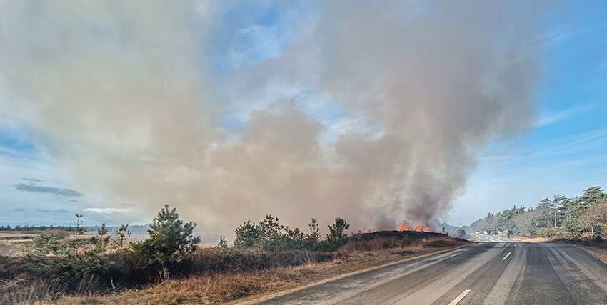 Brangefahr in der Natur aufgrund von Trockenheit