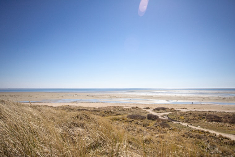 Stranden og Vadehavet på Fanø