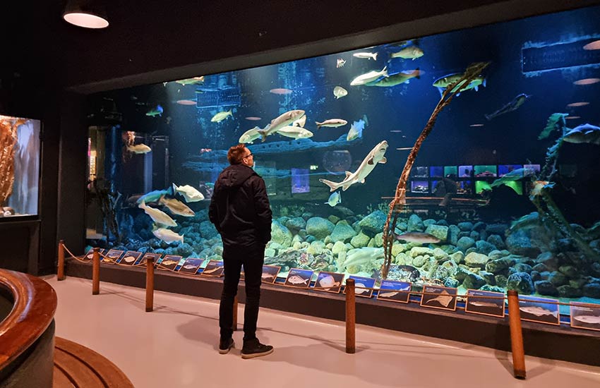 Fiskeri og Søfartsmuseet i Esbjerg
