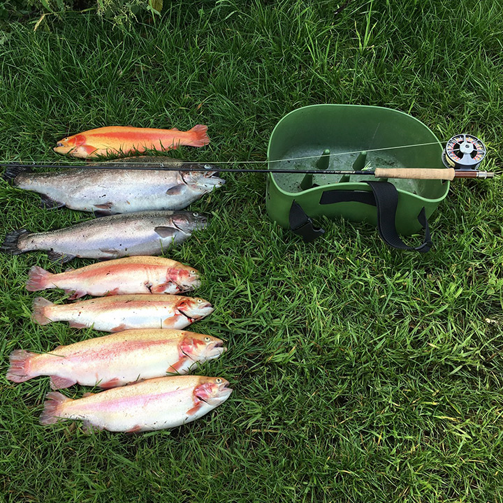 Put & Take - Forellenangeln für die ganze Familie