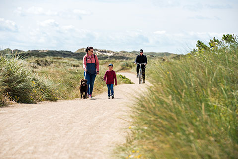 Gåtur gennem klitterne i Hvide Sande