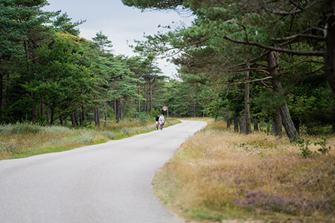 houstrup-waldwege-fahrradfahren