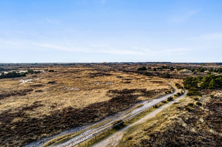 Udsigten fra Spidsbjerg på Rømø