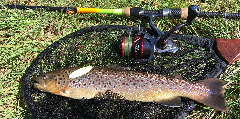 Put & Take - Forellenangeln für die ganze Familie